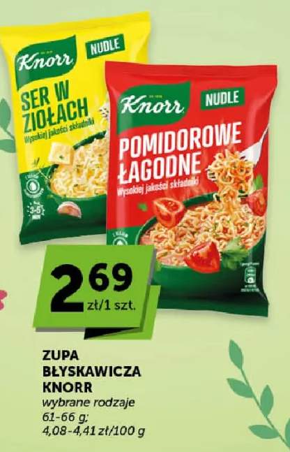 Zupa błyskawicza Nudle wybrane rodzaje