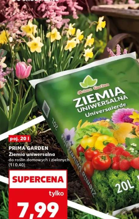 Ziemia uniwersalna do roślin domowych i zielonych