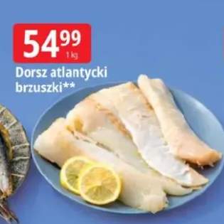 Dorsz atlantycki brzuszki