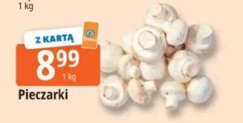 Pieczarki