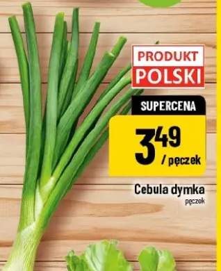 Cebula dymka