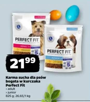 Karma sucha dla psów bogata w kurczaka adult