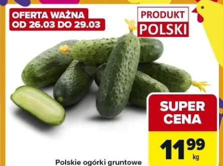 Polskie ogórki gruntowe