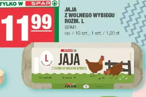 Jaja z wolnego wybiegu rozm. L