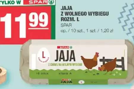 Jaja z wolnego wybiegu rozm. L
