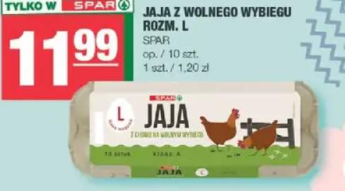 Jaja z wolnego wybiegu