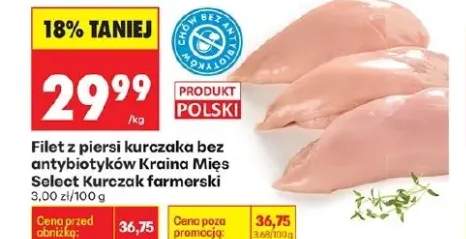 Filet z kurczaka