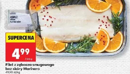 zębacz smugowy filet