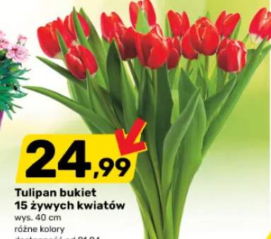 Tulipany bukiet