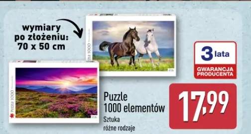 Puzzle 1000 elementów sztuka różne rodzaje