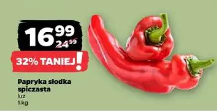 Papryka słodka spiczasta luz