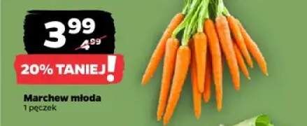 Marchew młoda, pęczek