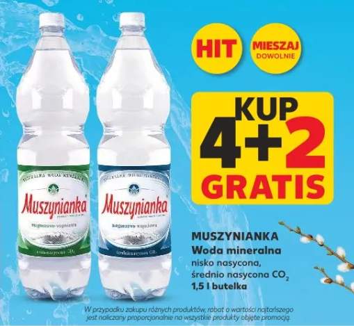 Woda mineralna nisko nasycona, średnio nasycona CO2