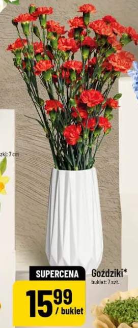 Goździki bukiet: 7 szt.