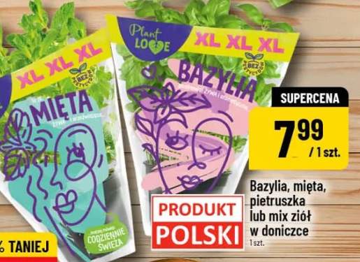 Bazylia, mięta, pietruszka lub mix ziół w doniczce