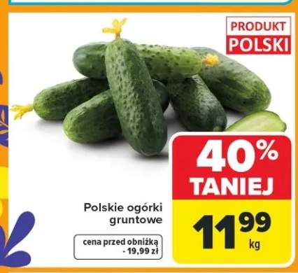 Ogórki gruntowe polskie