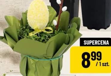 Rzeżucha z dekoracją