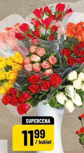 Narcyz średnica doniczki: 7 cm