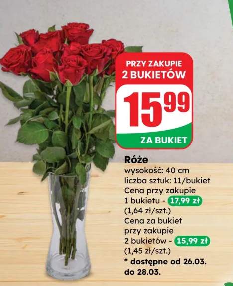 Róże wysokość: 40 cm