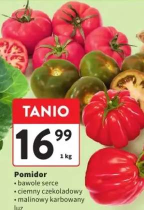 Pomidor bawole serce, ciemny czekoladowy, malinowy karbowany