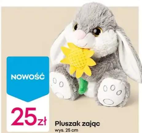 Pluszak zając