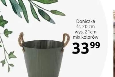 Doniczka
