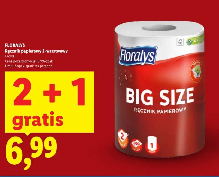 Ręcznik papierowy 2-warstwowy Big Size 2+1 GRATIS