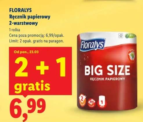 Ręcznik papierowy 2-warstwowy