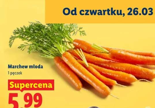 Marchew młoda, pęczek