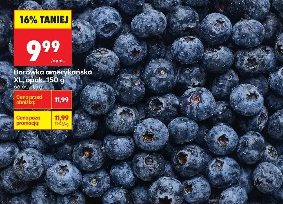 Borówka amerykańska XL