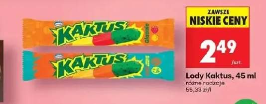 Lody Kaktus różne rodzaje