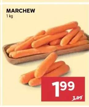 Marchew