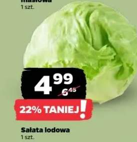 Sałata lodowa