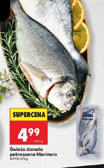 Świeża dorada patroszona