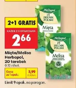 Mięta zielnik polski