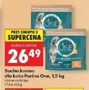 Sucha karma dla kota różne rodzaje