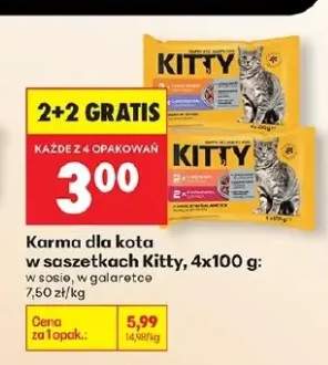 Karma dla kota w saszetkach w sosie, w galaretce