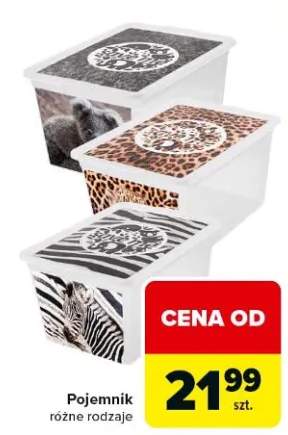 Pojemnik różne rodzaje