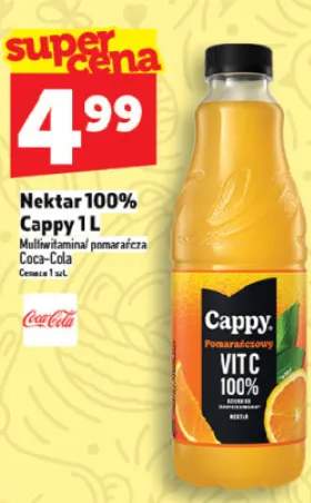 Nektar 100% Cappy 1l