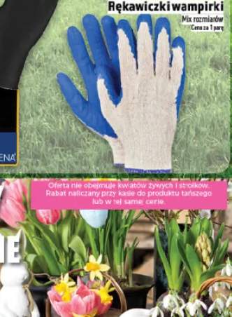 Płyn do spryskiwaczy letni Sky Line 5l