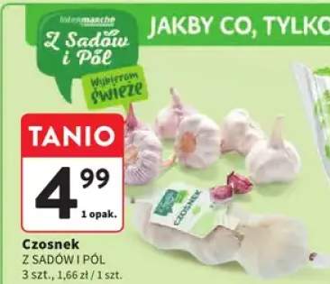 Czosnek z sadów i pól