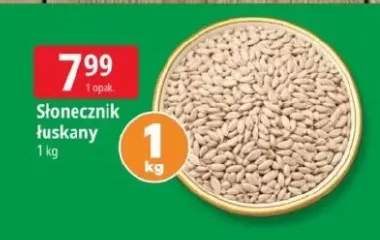 Słonecznik łuskany