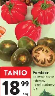 Pomidor bawole serce ciemny czekoladowy luz