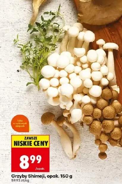 Grzyby Shimeji