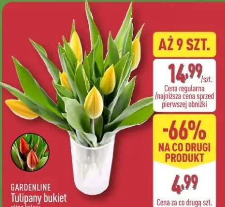 Tulipany bukiet różne kolory