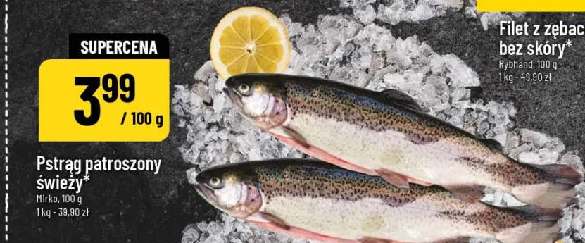 Pstrąg patroszony świeży