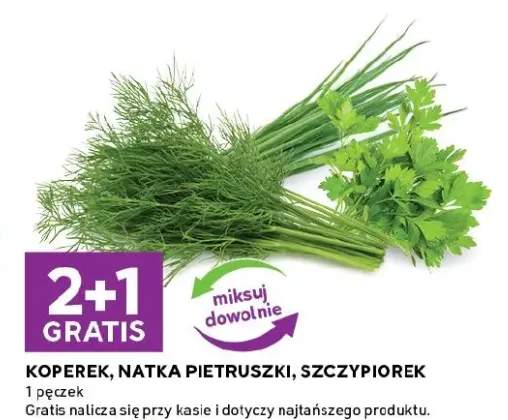 Koperek, natka pietruszki, szczypiorek