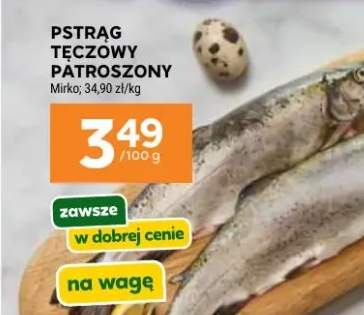 Pstrąg tęczowy patroszony
