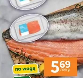 Pstrąg tęczowy łososiowy