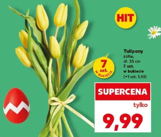 Tulipany żółte